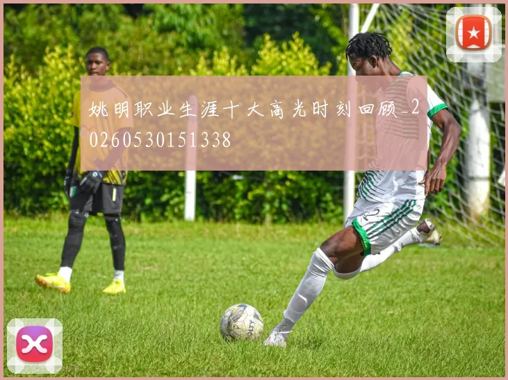 姚明职业生涯十大高光时刻回顾_20260530151338
